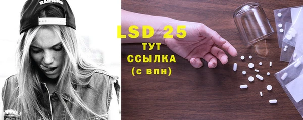 прущие грибы Волоколамск