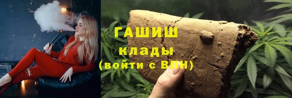 прущие грибы Волоколамск