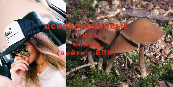 прущие грибы Волоколамск