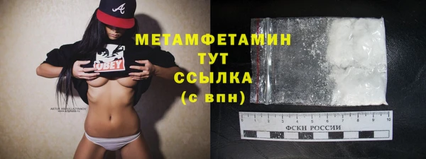 прущие грибы Волоколамск