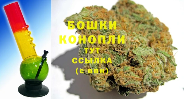 прущие грибы Волоколамск