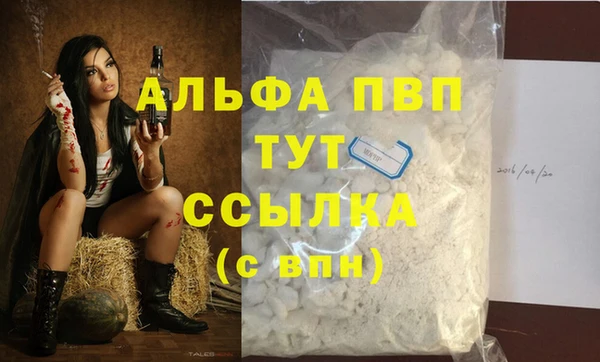 прущие грибы Волоколамск