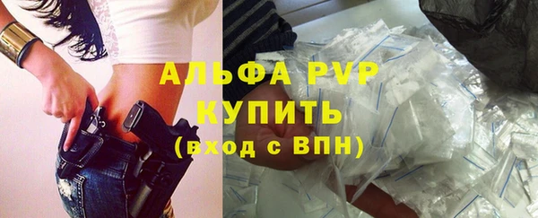 прущие грибы Волоколамск