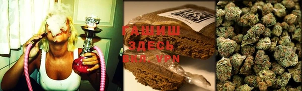 прущие грибы Волоколамск