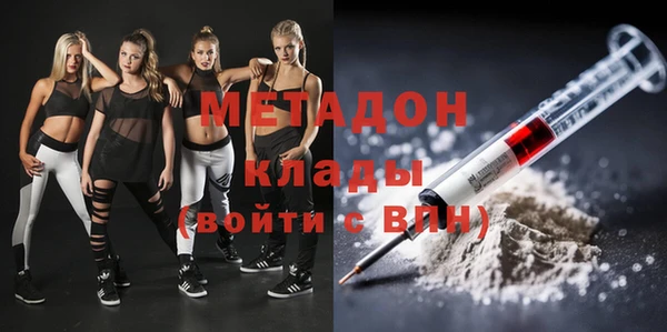 прущие грибы Волоколамск