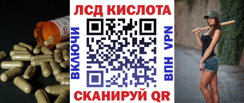 Купить закладки  Новодвинск  LSD-25 экстази кислота 